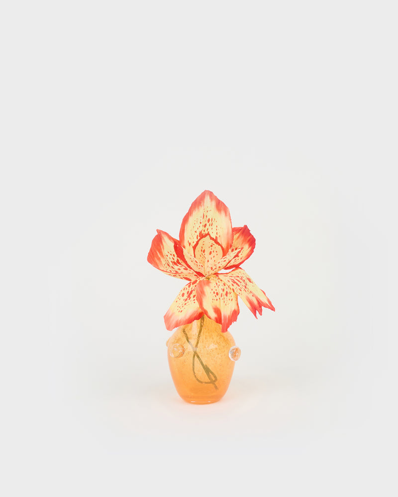 Le petit vase pâquerette