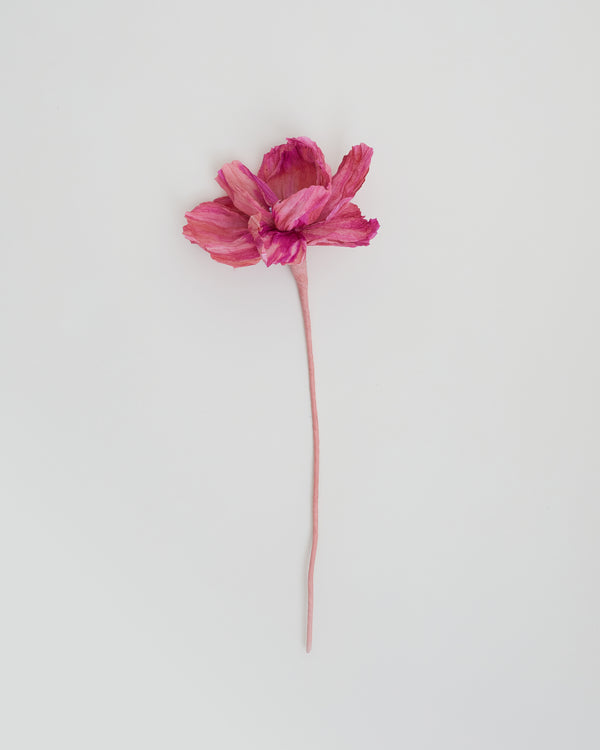 La fleur Atala