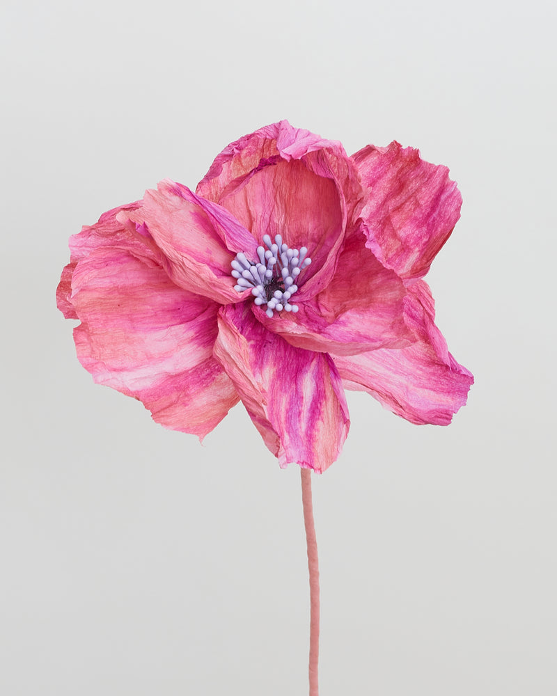 La fleur Atala
